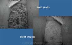 Internal views of the Swift (converted Starling) boxes, 14 March