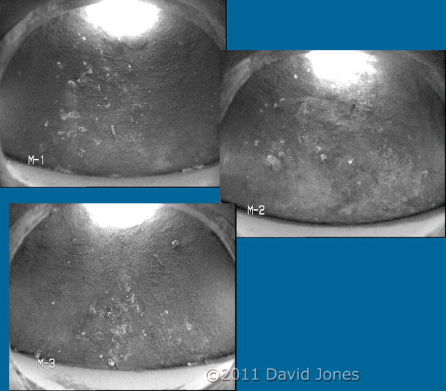 Artificial House Martin nests - cctv images, 2 April