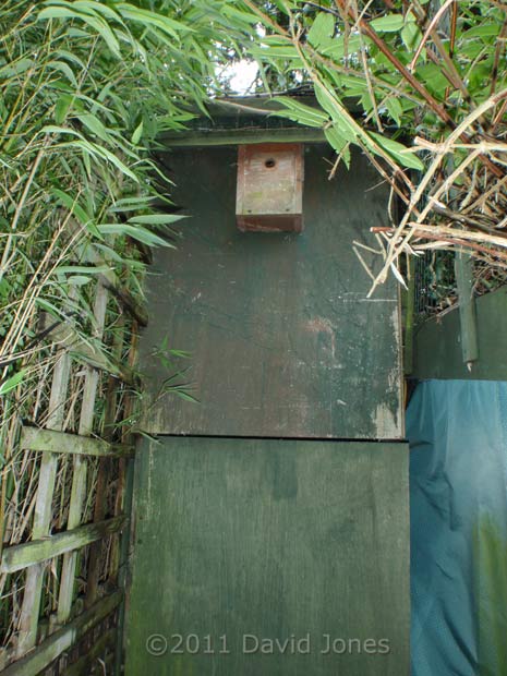 My Blue/Great Tit nest box, 16 February