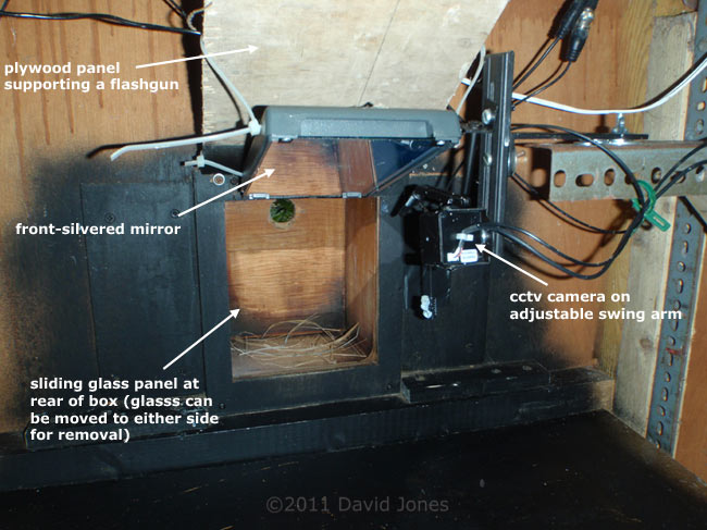 Arrangement behind nest box, 16 February