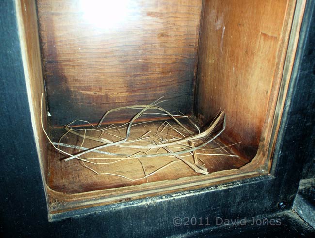 Straw used to detect visitors to nest box, 16 February