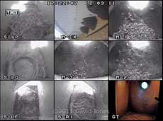 nest box cameras - multiplexer view (daytime), 12 March