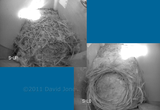 Swift box (upper & lower) cctv images, 12 March