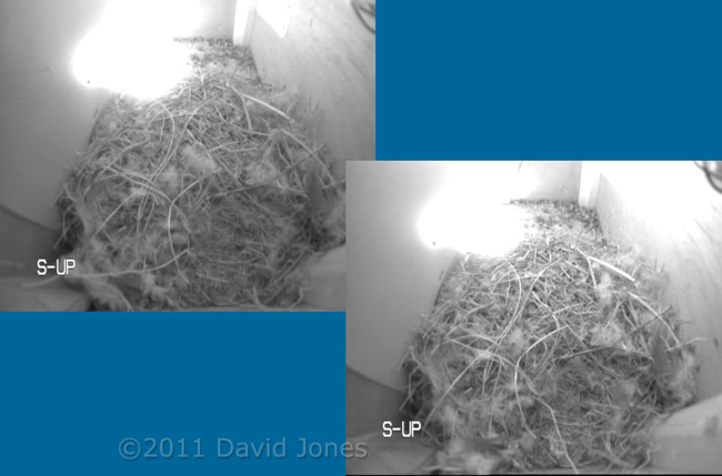 cctv images before/after door modification to improve lighting, 14 March