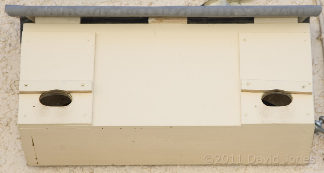 Boxes SW-le and SW-ri, 14 March