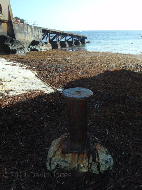 Seaweed covers Polpear Cove after a recent storm, 12 May