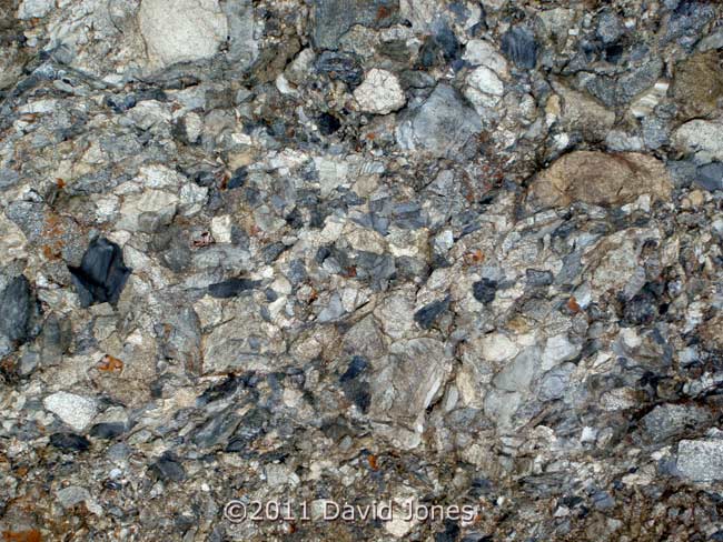 A clear exposure of a Breccia, just south of Nare Head, 14 May