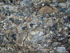 A clear exposure of a Breccia, just south of Nare Head, 14 May