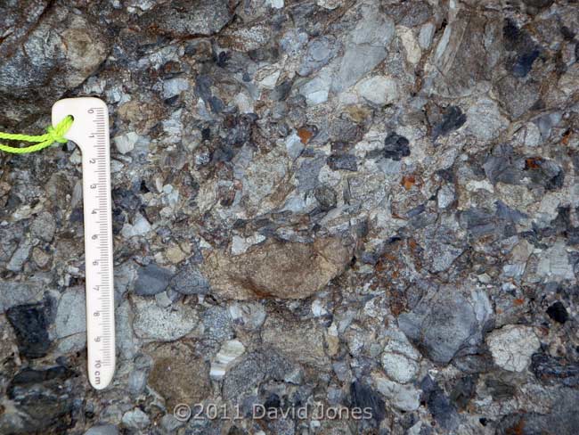 A clear exposure of a Breccia (close-up), just south of Nare Head, 14 May