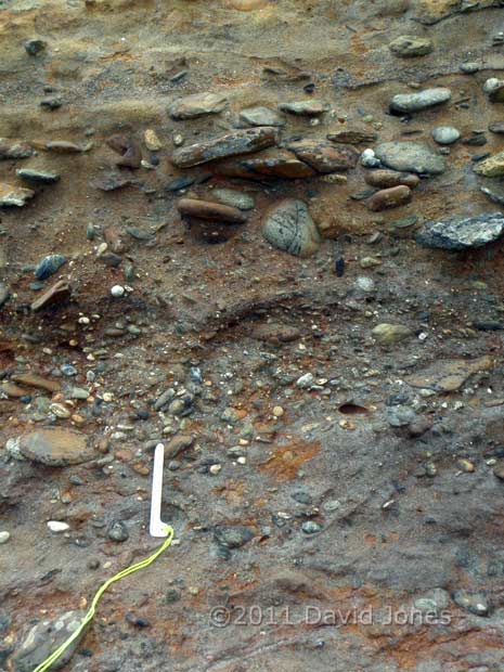 Raised beach deposit on left side of cove north of Porthallow - close-up, 15 May