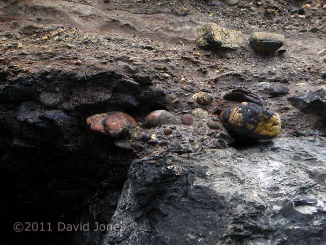 Cave with boulder (north of Porthallow) - detail of top corner, 18 May