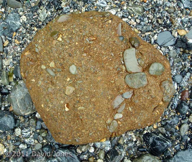 Boulder created from raised beach deposit, 18 May