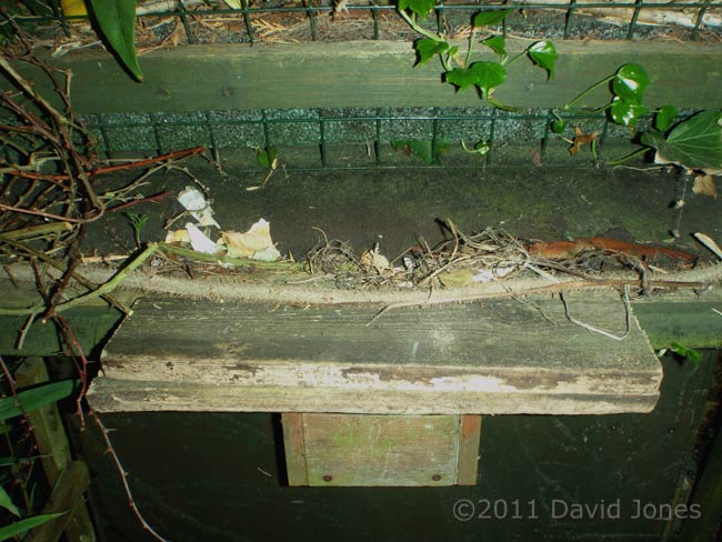 Ledge added to Great Tit box, 14 April