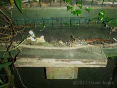 Ledge added to Great Tit box, 14 April