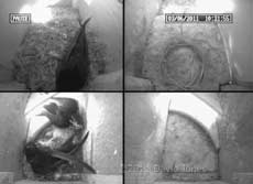 Male Swift returns to SW-le with thistledown(?), 3 May