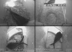 A Swift visits SW-lo this morning - 1, 7 June