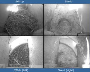 cctv quad image, 4 May