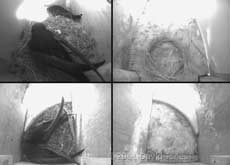 Both pairs of Swifts now in their boxes, 6 May