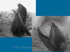 SW-up - morning and evening, 6 May