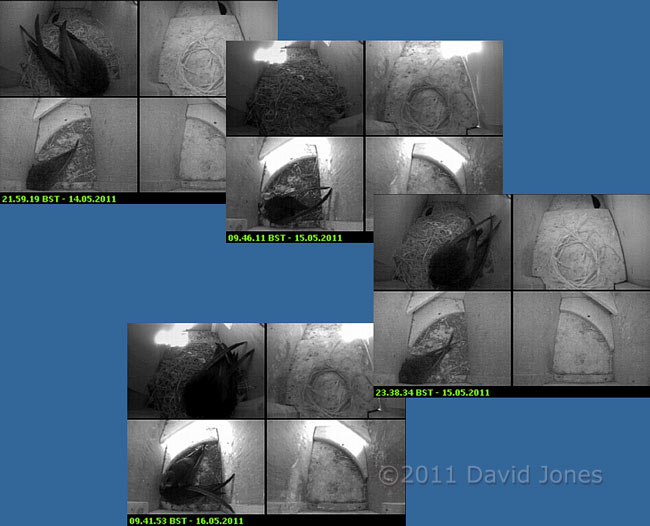 Activity in Swift boxes, 15/16 May