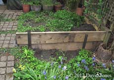 New vegetable plot under construction, 24 April 2012