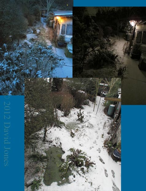 Overnight snow, 4-5th February