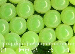 Shieldbug eggs(?)  - close-up, 18 June 2012