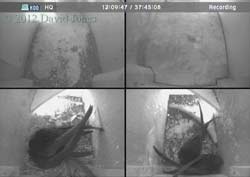 Swift nest boxes after 5pm this afternoon, 5 June 2012