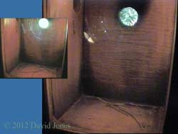 Blue/Great Tit box, 28 March 2012