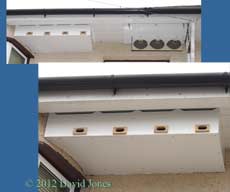 New Swift terrace at front of house, 2 May 2012