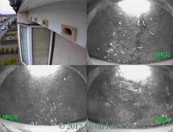 House Martin nests and Swift boxes, 4 May 2012