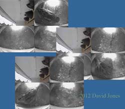 Sparrow female visits House Martin nests, 4 May 2012