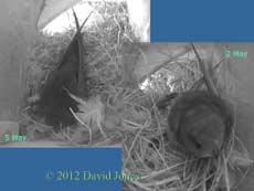 Trying to compare Swift images, 5 May 2012