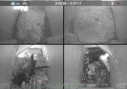 A second Swift arrives,  10 May 2012