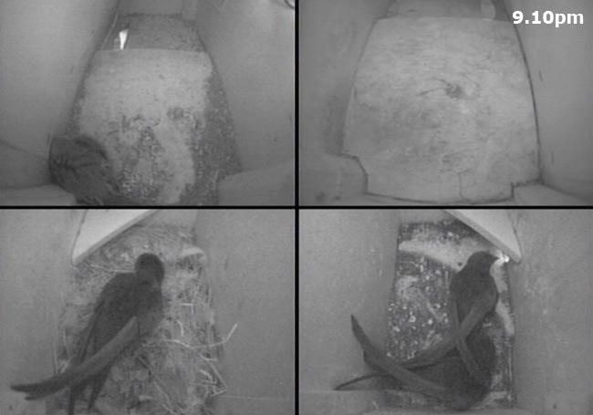 The Swift boxes at 9.10pm, 13 May 2012