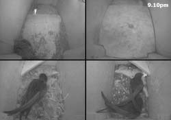 The Swift boxes at 9.10pm, 13 May 2012