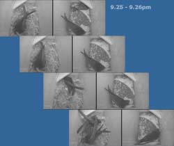 Activity in Swift boxes as darkneww fell, 14 May 2012