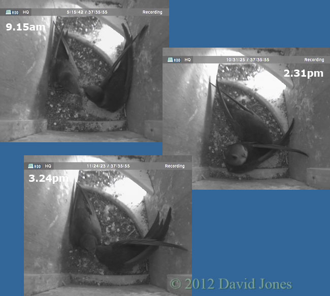 A second Swift in SW(ri), 22 May 2012