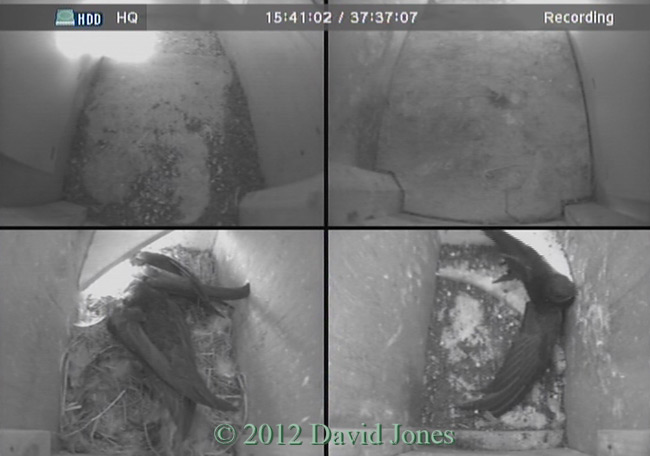 'Visitor' ejected from SW(ri) tonight, 22 May 2012