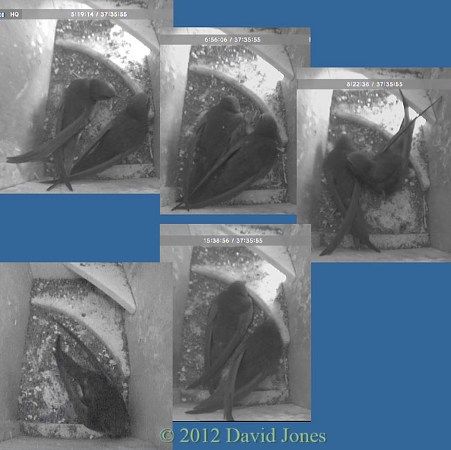 More visits by second Swift to SW(ri), 23 May 2012