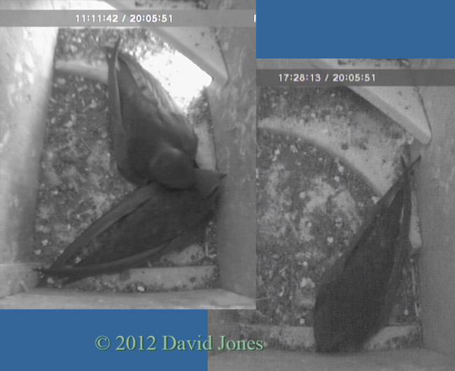 Daytime relationship in SW(ri) continues, 24 May 2012