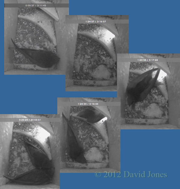 Another early visit to SW(ri), 28 May 2012