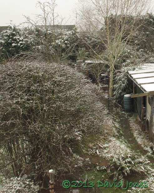 light snowfall in the morning