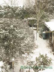 Snowfall during the day