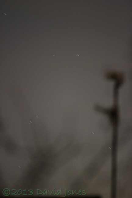 Feint star tracks in the western sky, 7.30pm 14 March 2013 - tracks enhanced