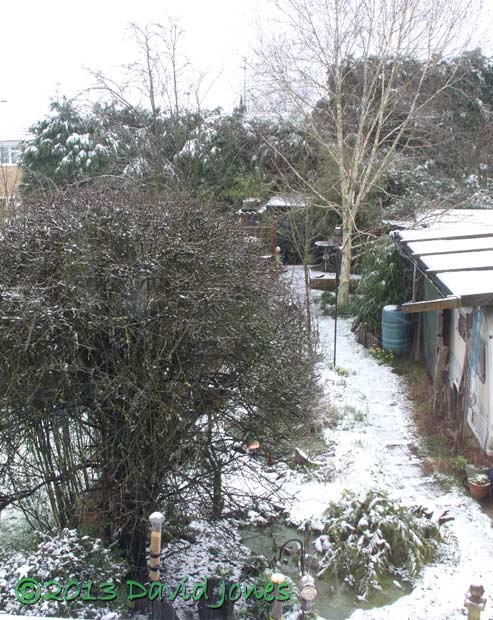 A snowy day, 23 March 2013