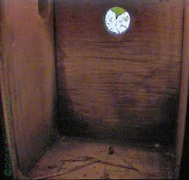 BT/GT nest box - low quality cctv image, 24 March 2013