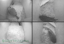 View on Swift monitor tonight, 7 May 2013