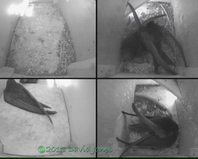 Swift webcam image at 8am, 22 June 2013