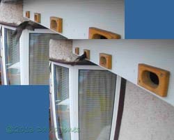 A Swift enters SW(C) at 6am, 22 June 2013